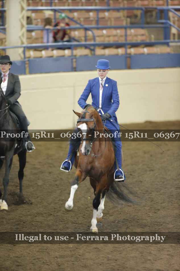 Proof 15R11_06367
