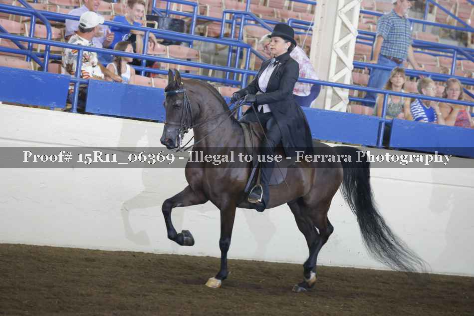 Proof 15R11_06369