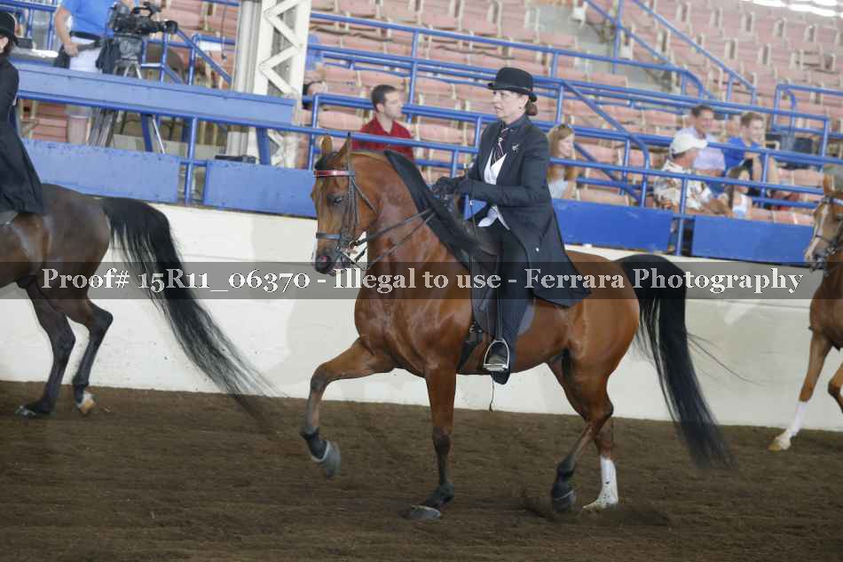 Proof 15R11_06370