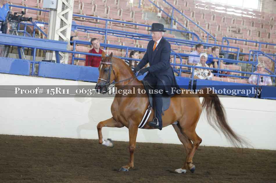 Proof 15R11_06371