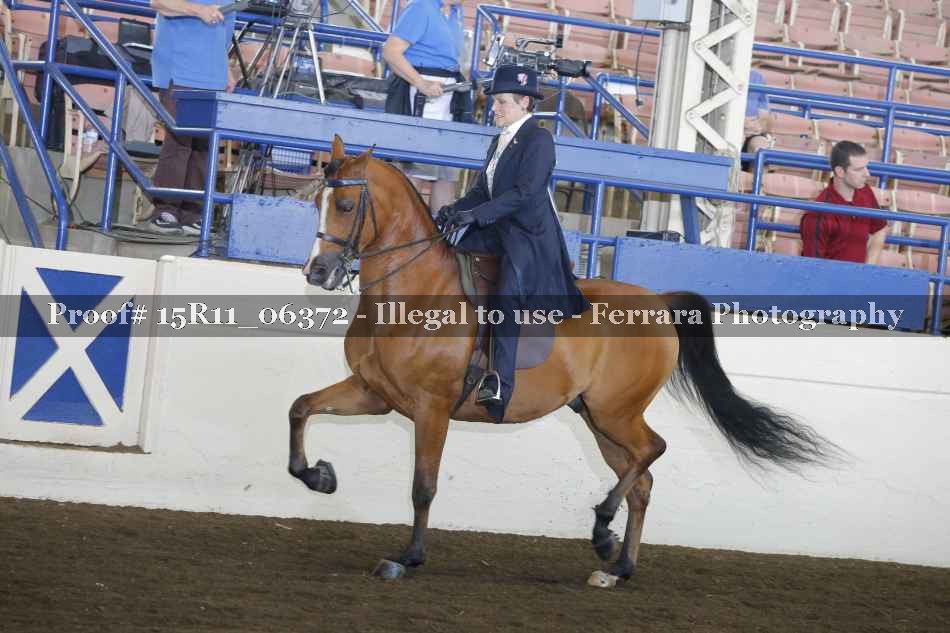 Proof 15R11_06372