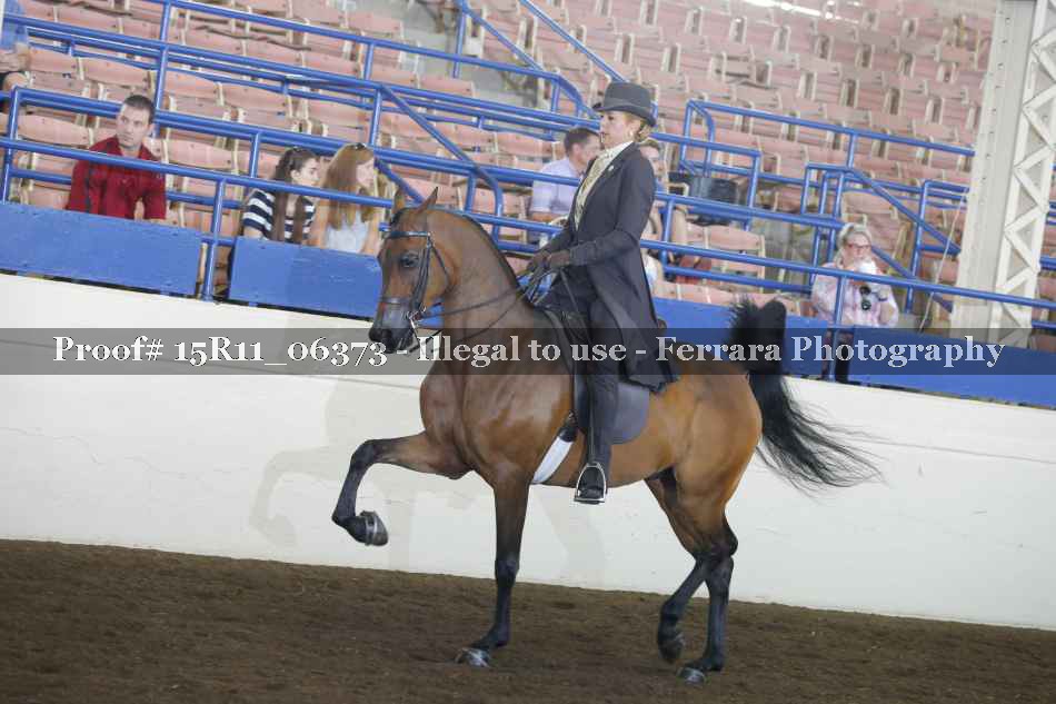 Proof 15R11_06373