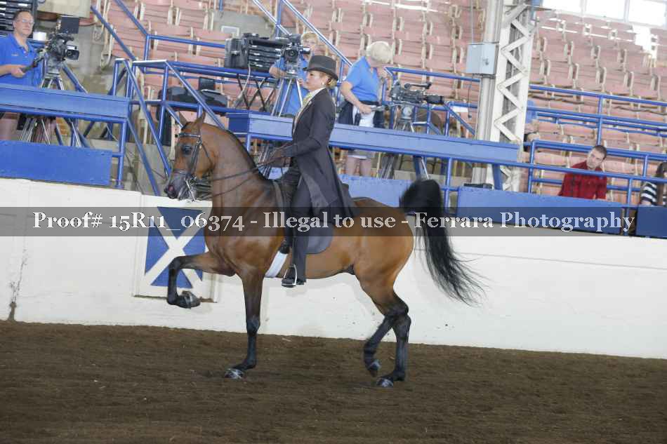 Proof 15R11_06374