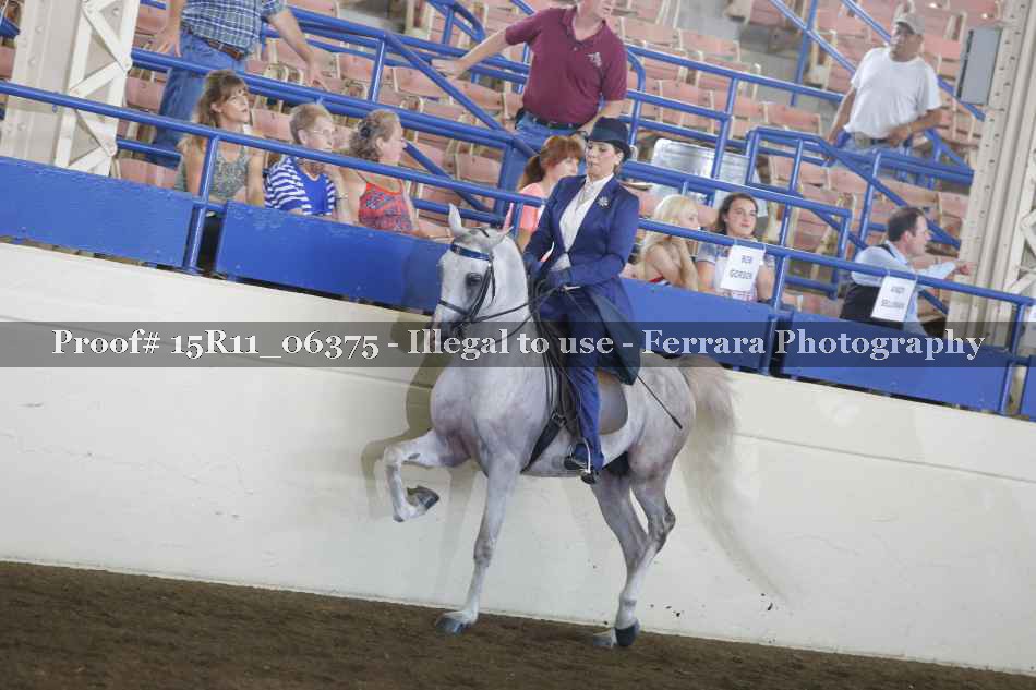 Proof 15R11_06375