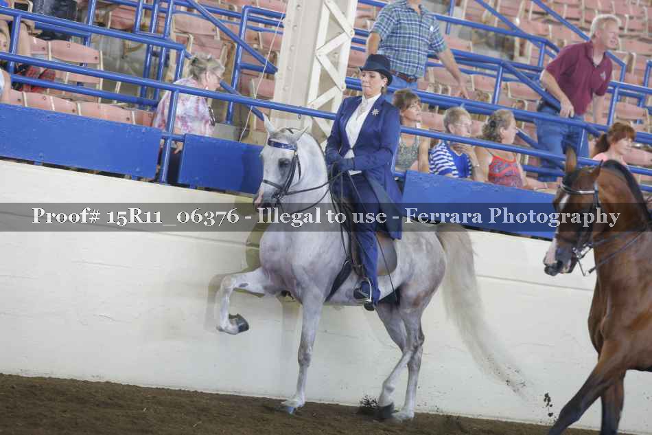 Proof 15R11_06376