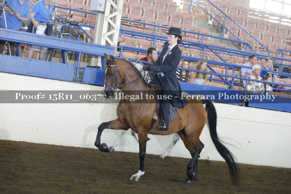 Proof 15R11_06377
