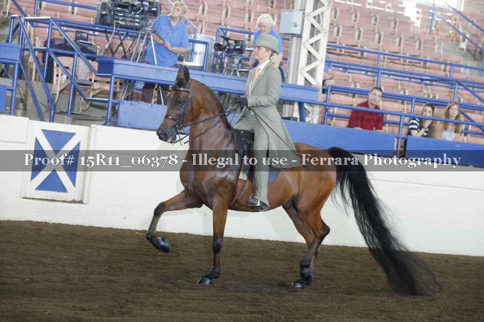 Proof 15R11_06378