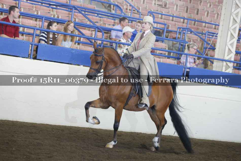 Proof 15R11_06379
