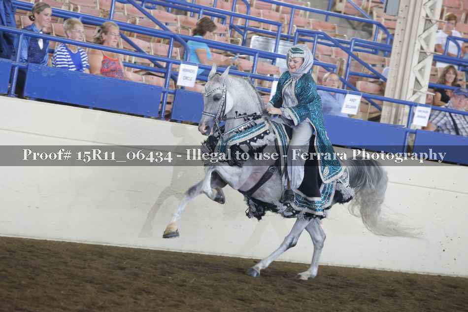 Proof 15R11_06434