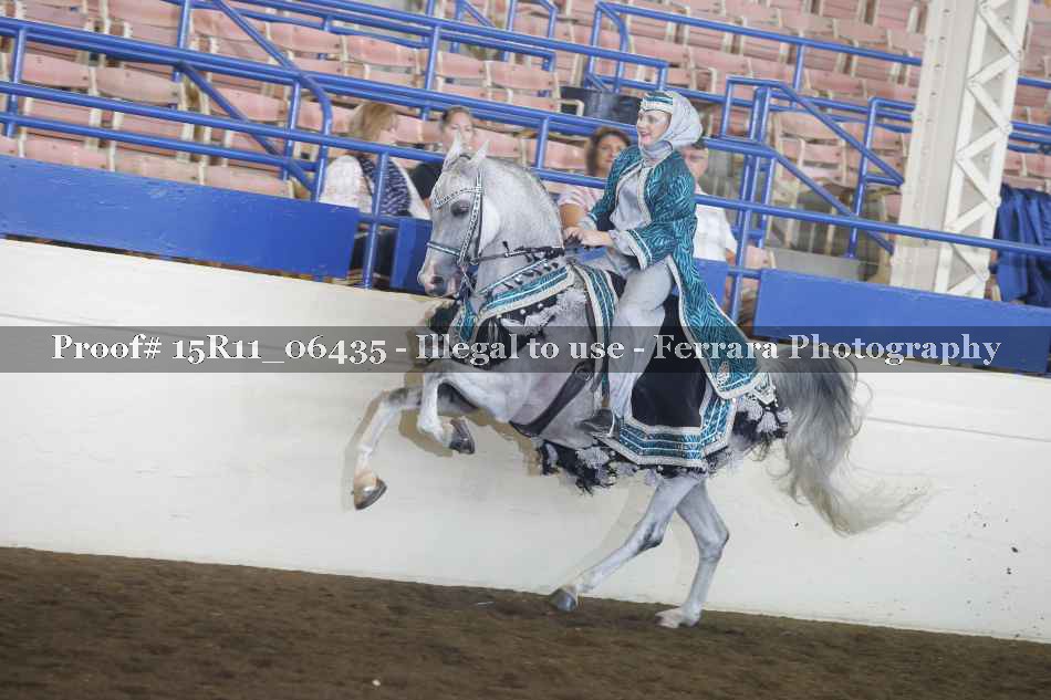 Proof 15R11_06435