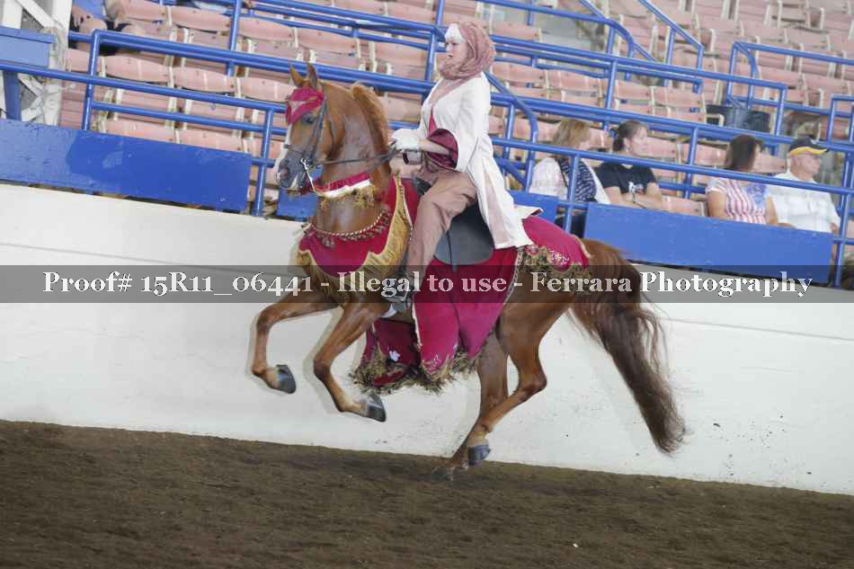 Proof 15R11_06441