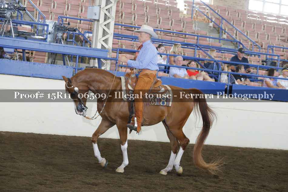 Proof 15R11_06509