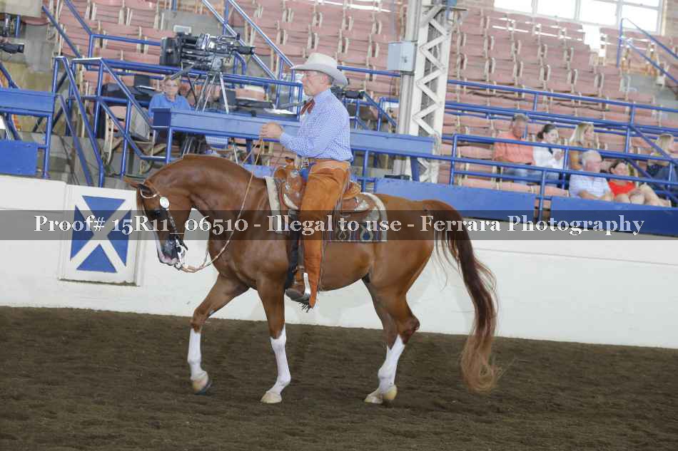 Proof 15R11_06510