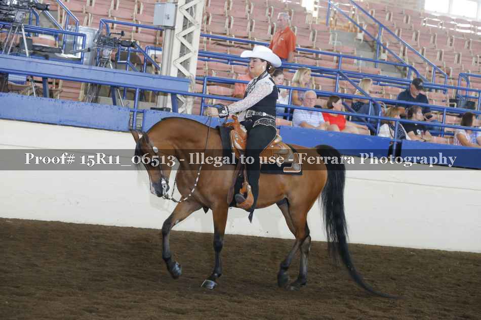 Proof 15R11_06513