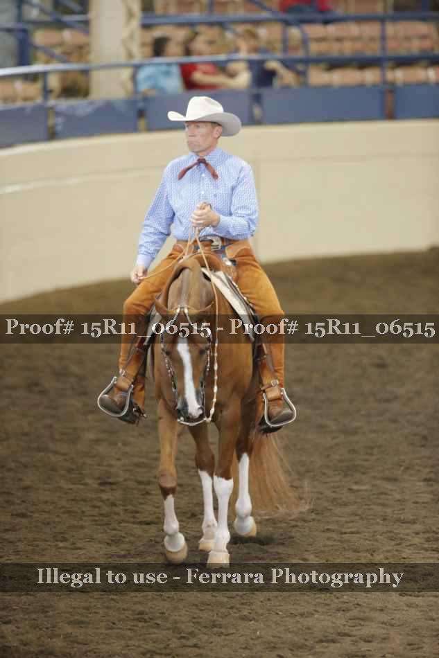 Proof 15R11_06515