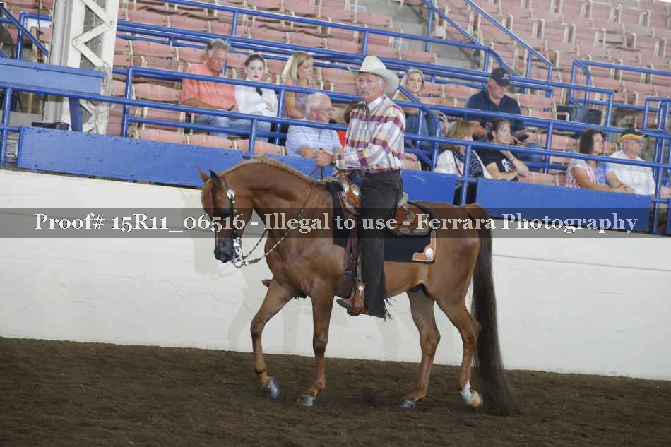 Proof 15R11_06516