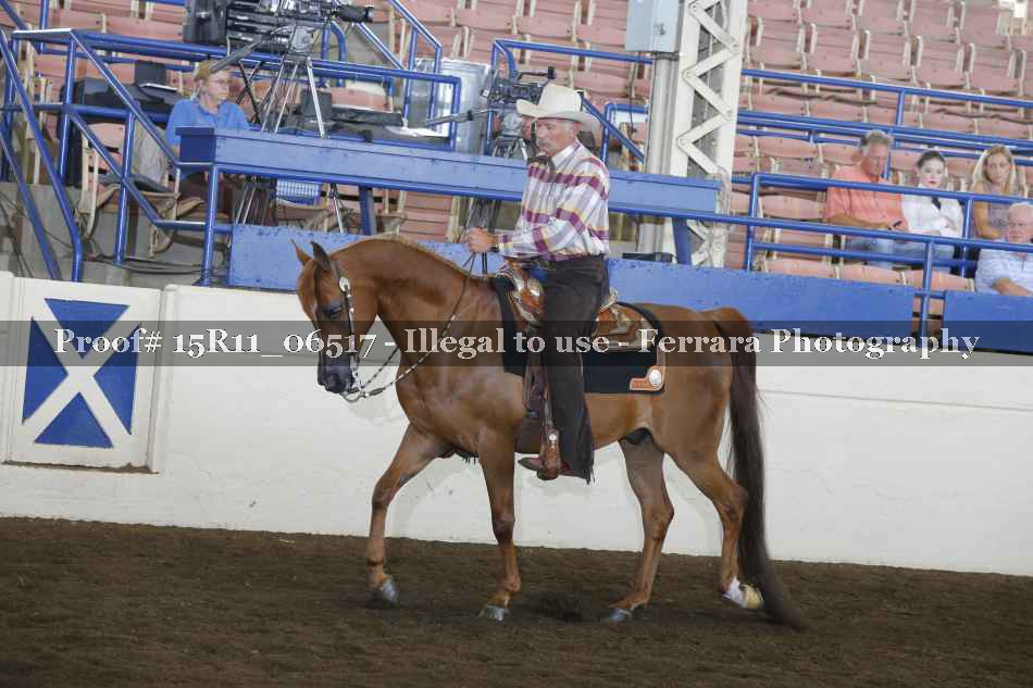 Proof 15R11_06517