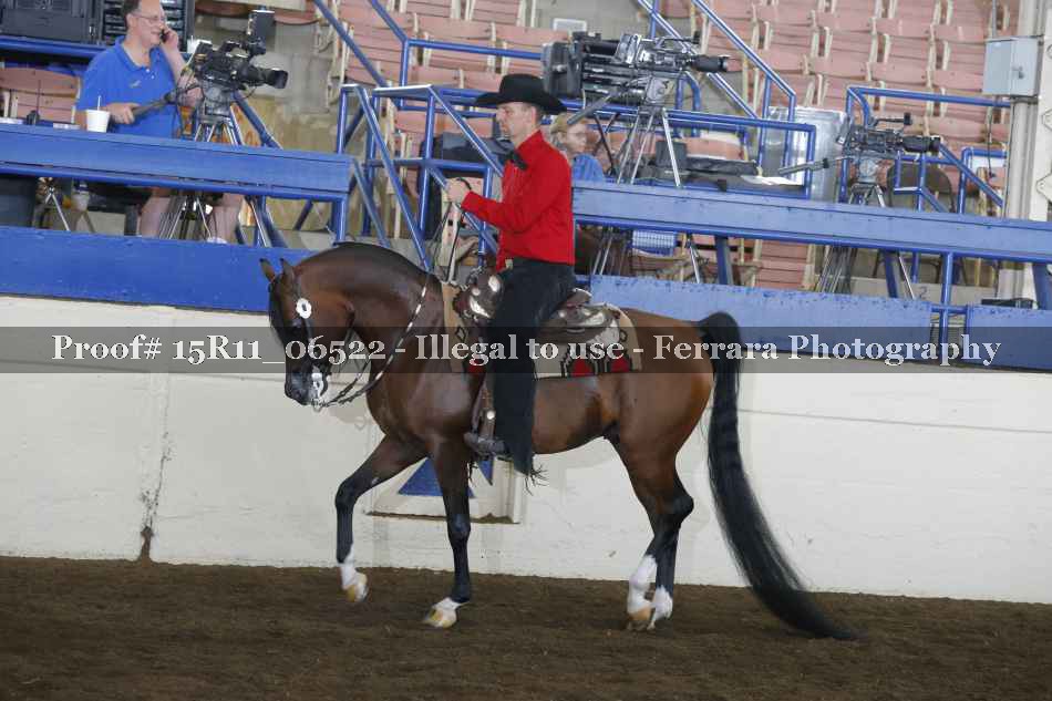 Proof 15R11_06522