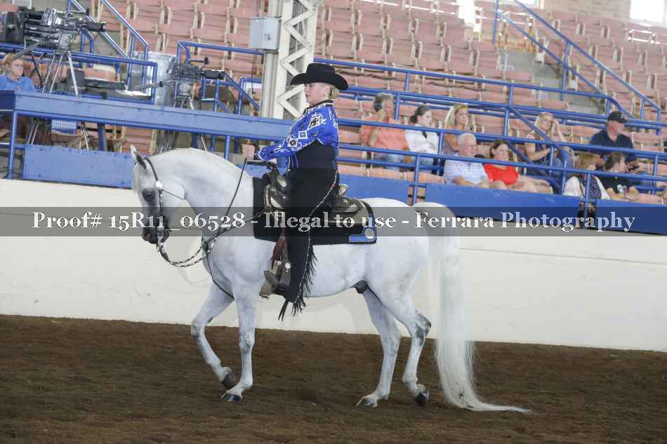 Proof 15R11_06528