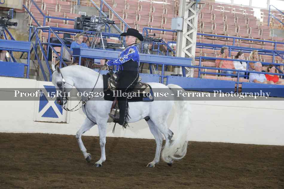 Proof 15R11_06529
