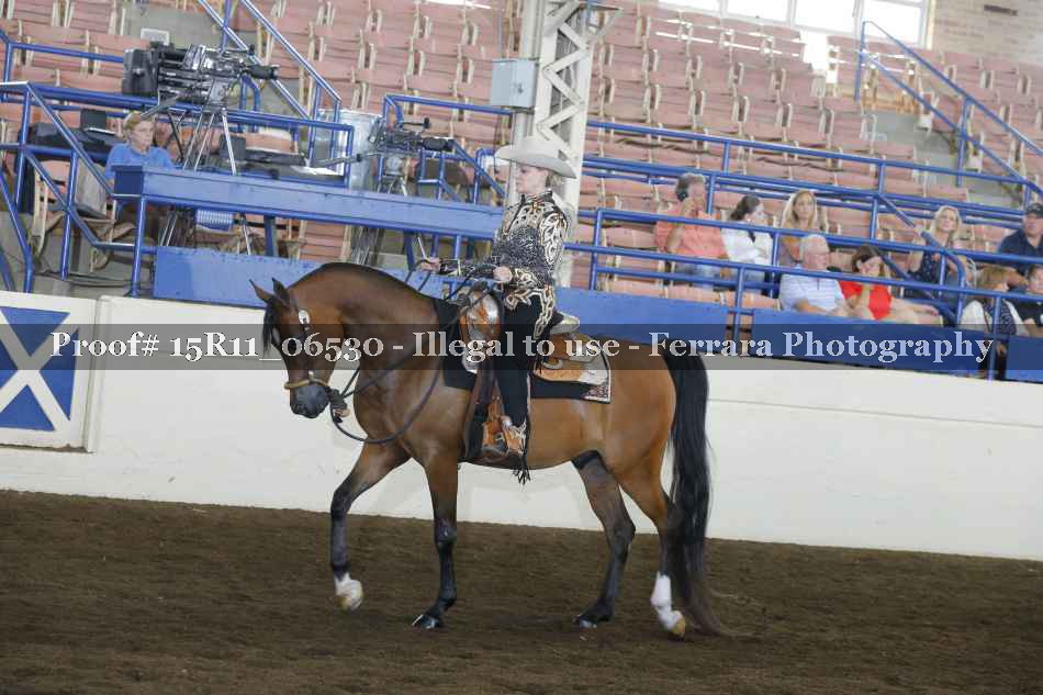 Proof 15R11_06530