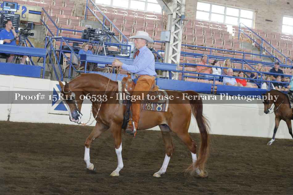 Proof 15R11_06533