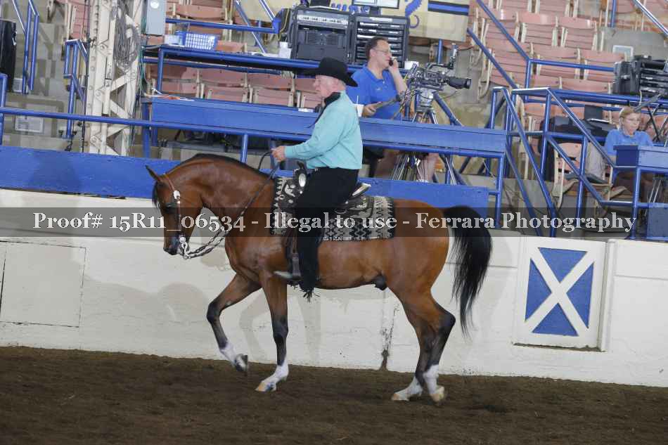 Proof 15R11_06534