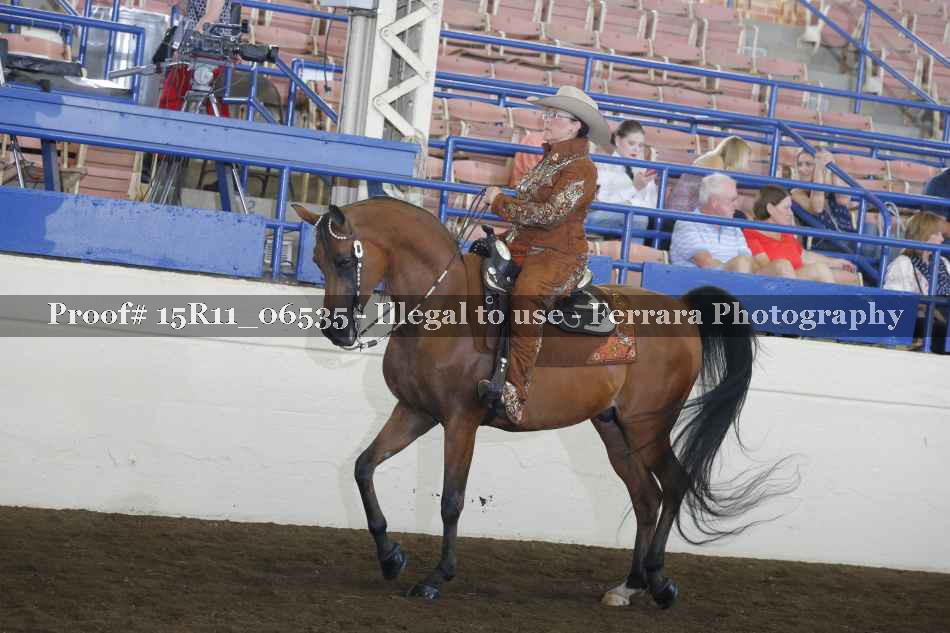 Proof 15R11_06535