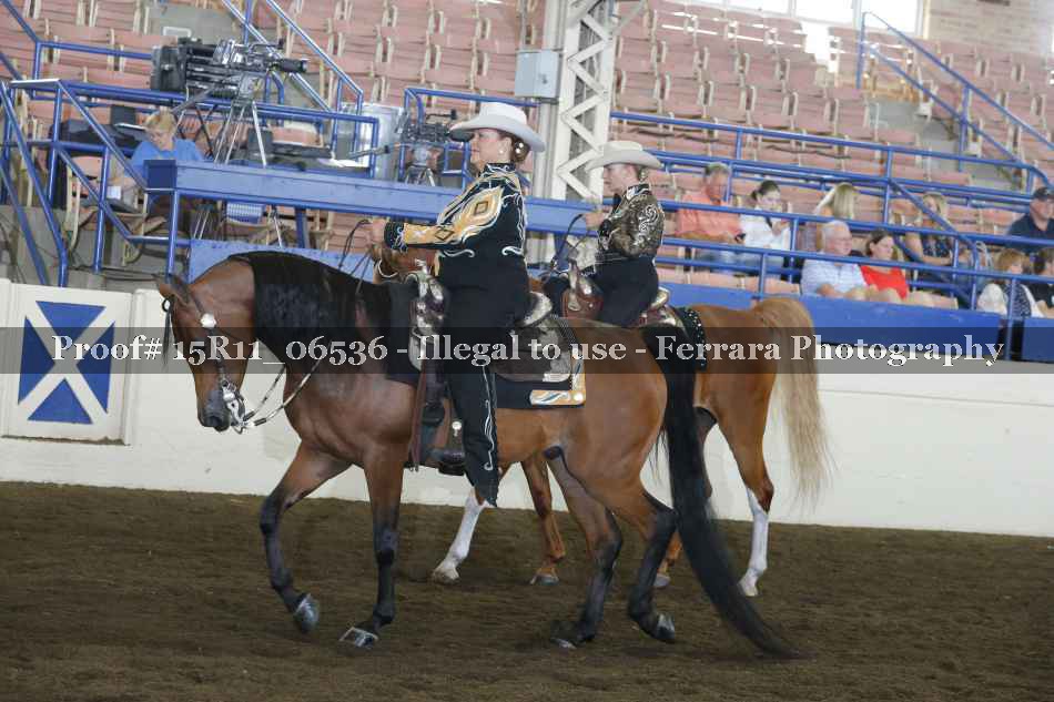 Proof 15R11_06536