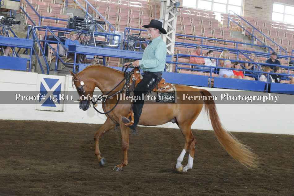 Proof 15R11_06537
