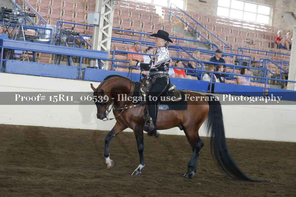 Proof 15R11_06539