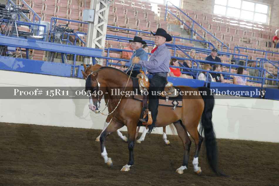 Proof 15R11_06540