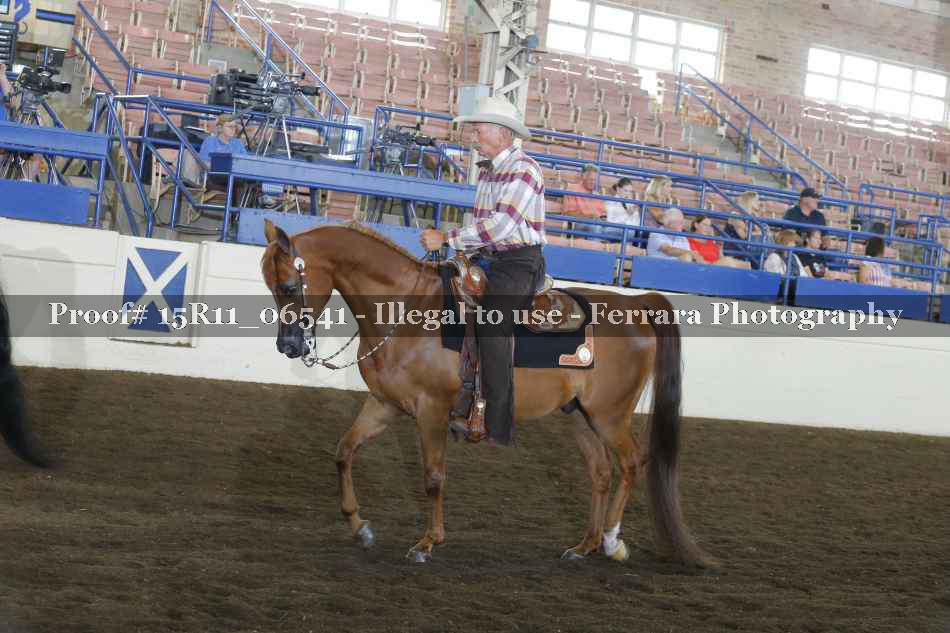 Proof 15R11_06541