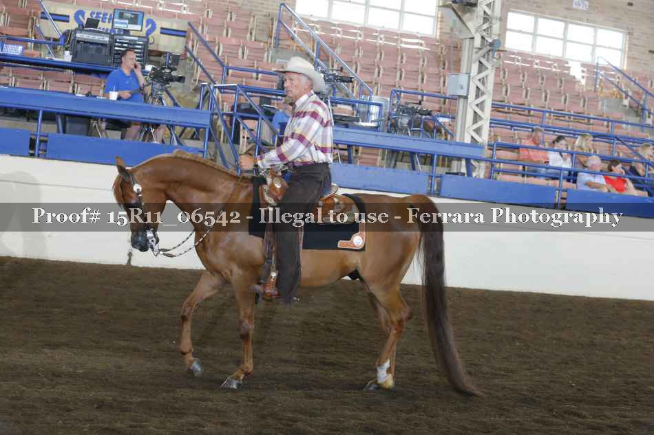 Proof 15R11_06542