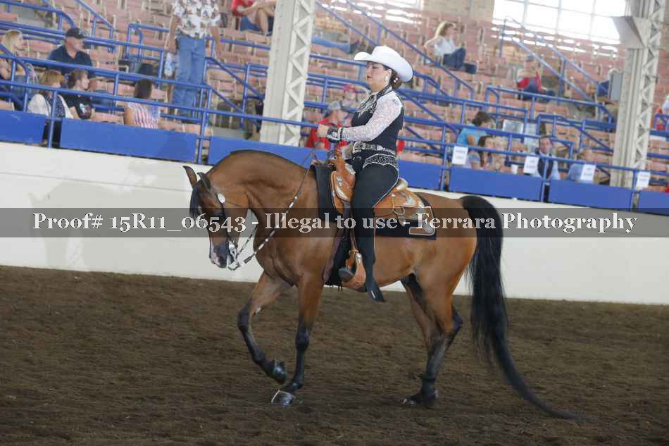 Proof 15R11_06543