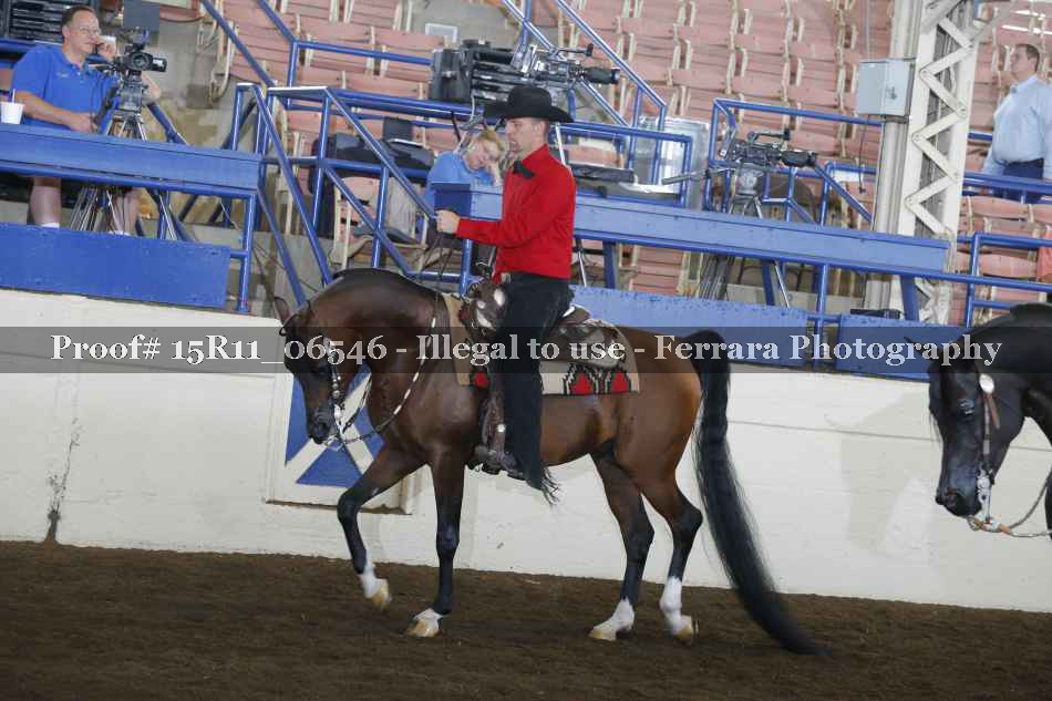 Proof 15R11_06546