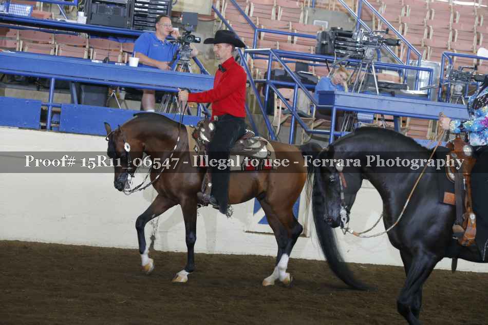 Proof 15R11_06547