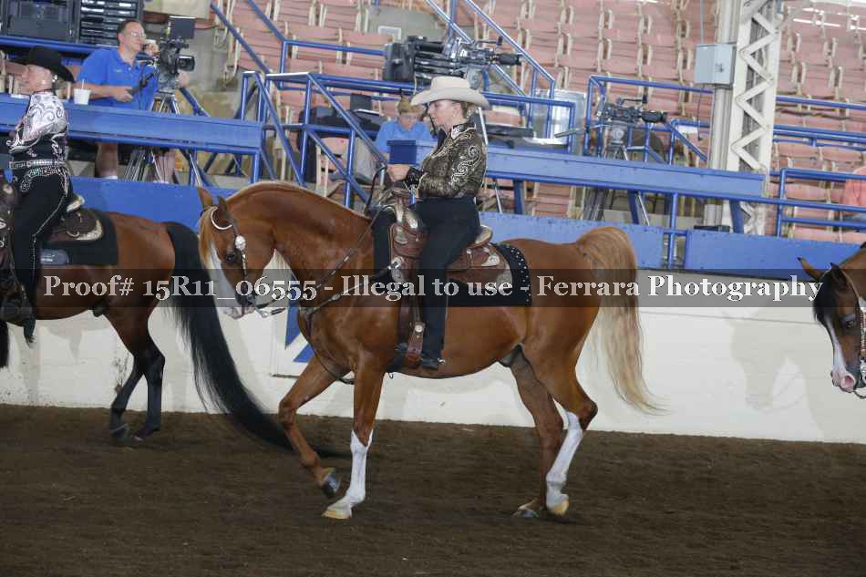 Proof 15R11_06555