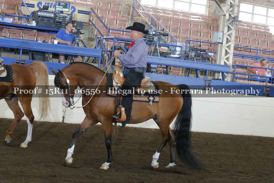 Proof 15R11_06556