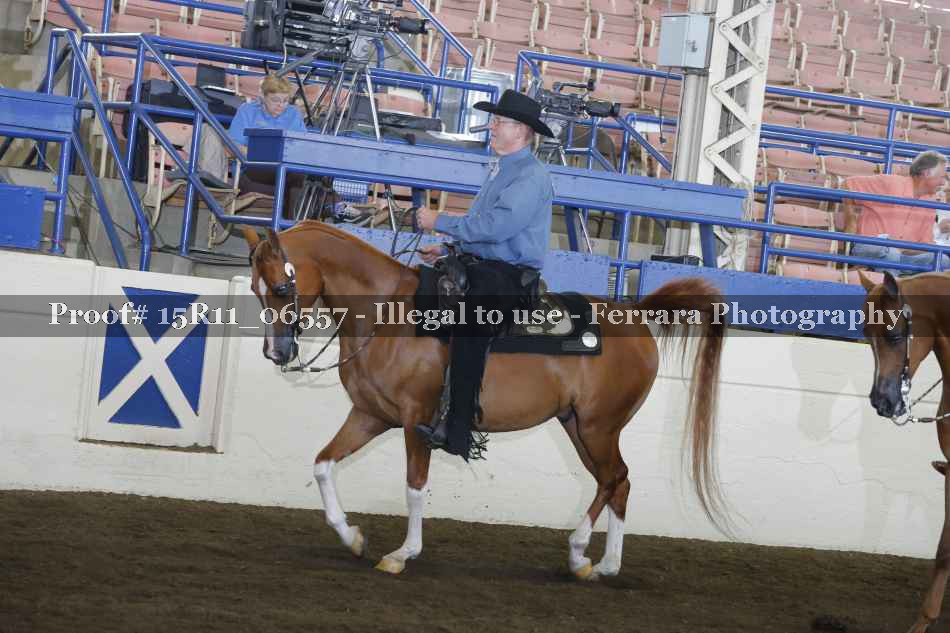 Proof 15R11_06557