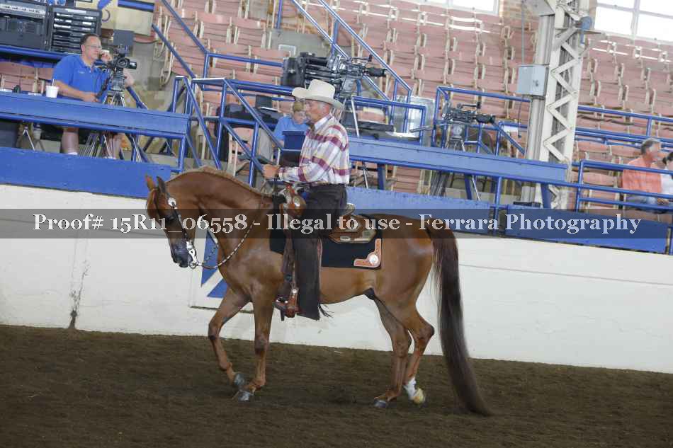 Proof 15R11_06558
