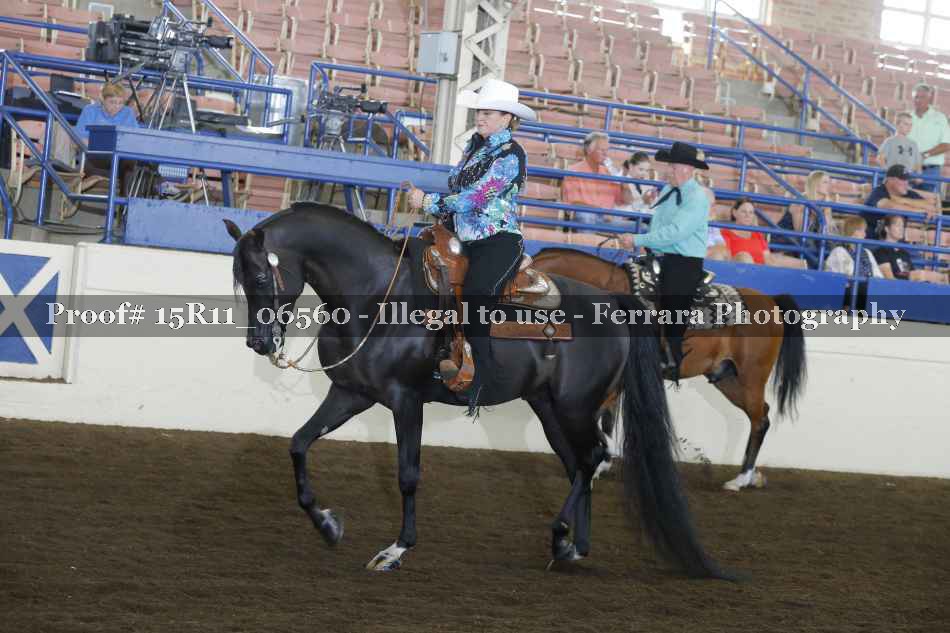 Proof 15R11_06560
