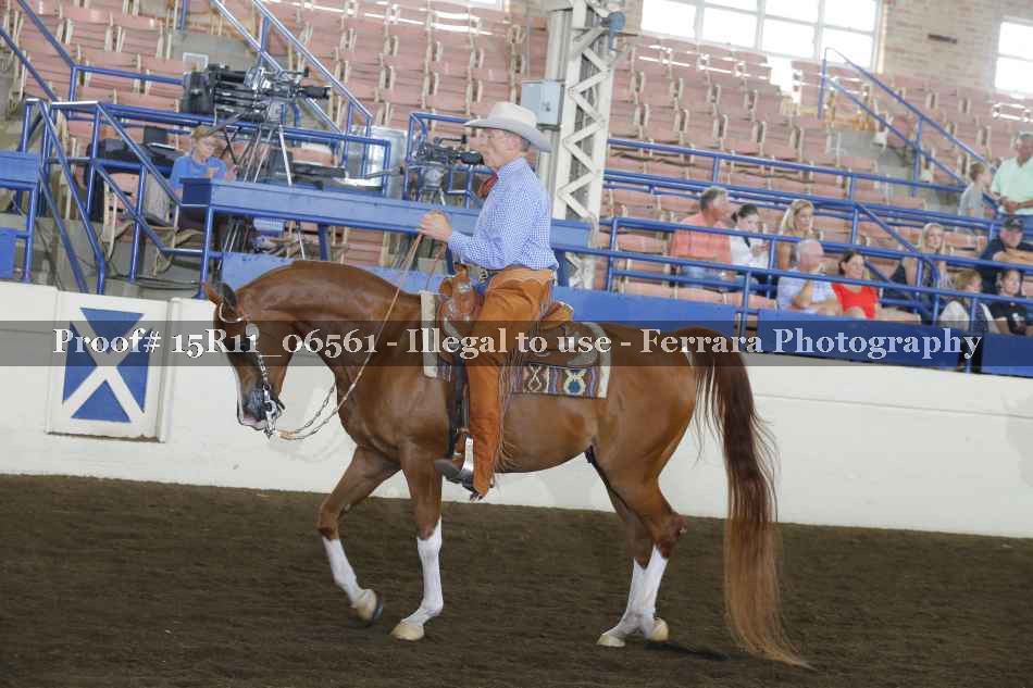 Proof 15R11_06561