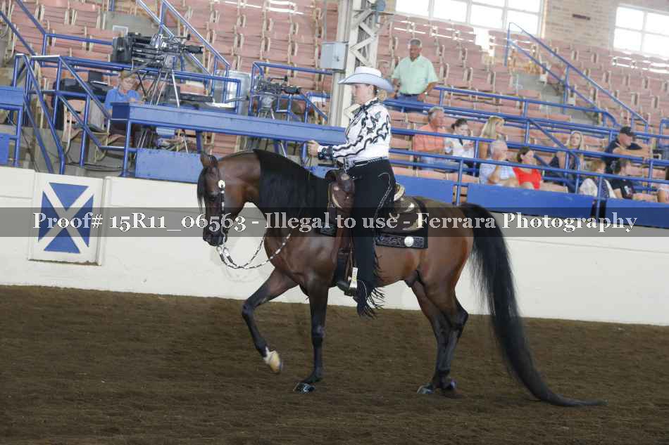 Proof 15R11_06563