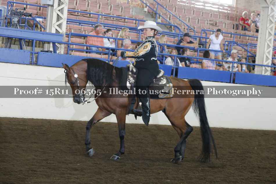 Proof 15R11_06565
