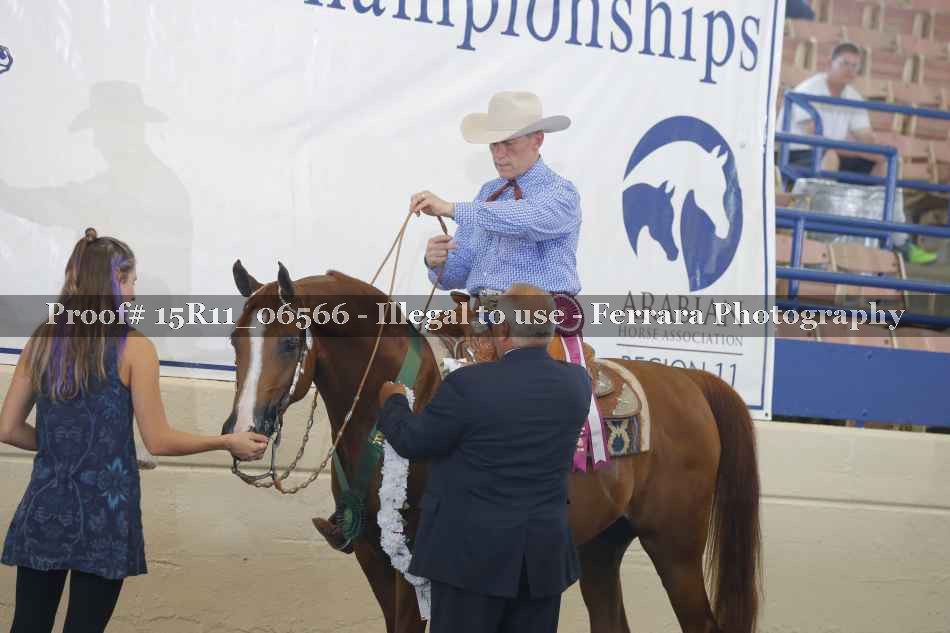 Proof 15R11_06566