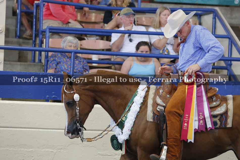 Proof 15R11_06571