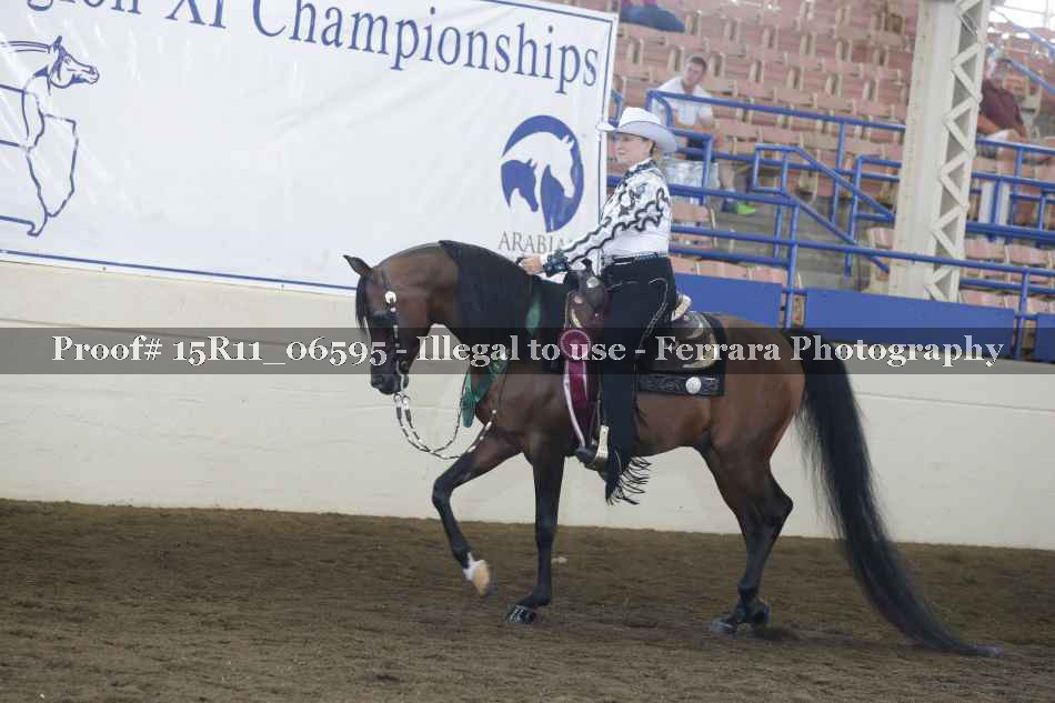 Proof 15R11_06595
