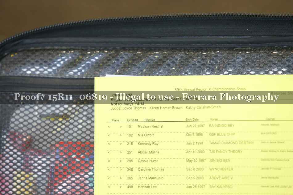 Proof 15R11_06819