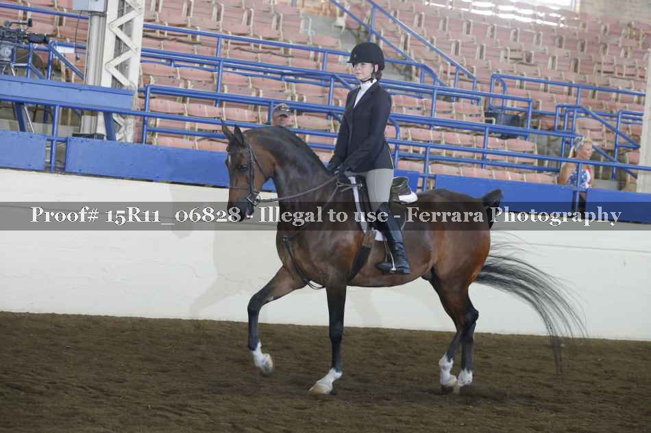 Proof 15R11_06828